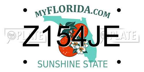 Z154JE Florida License Plate