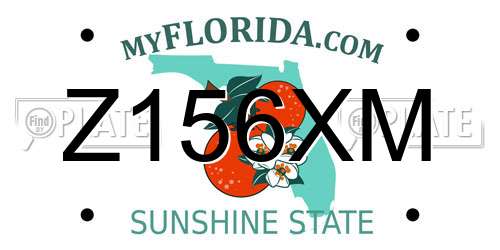 Z156XM Florida License Plate