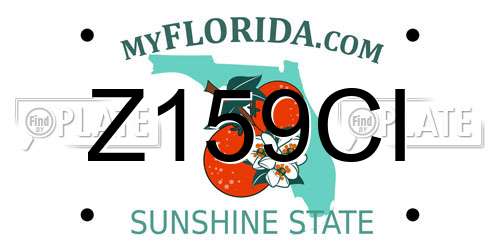 Z159CI Florida License Plate