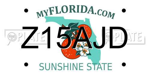 Z15AJD Florida License Plate