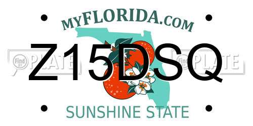 Z15DSQ Florida License Plate