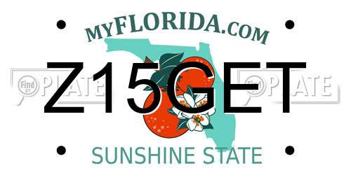 Z15GET Florida License Plate