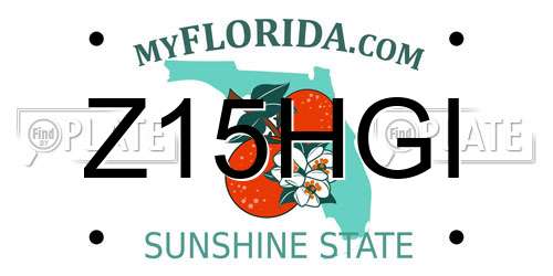 Z15HGI Florida License Plate