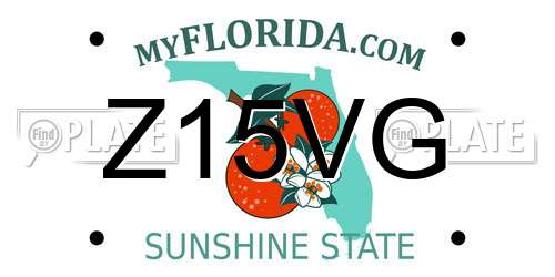 Z15VG Florida License Plate