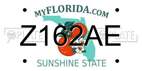 Z162AE Florida License Plate