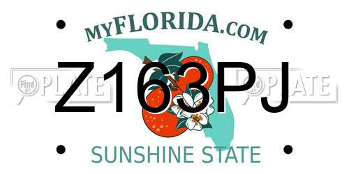 Z163PJ Florida License Plate