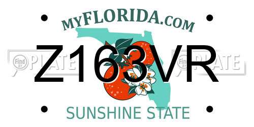 Z163VR Florida License Plate