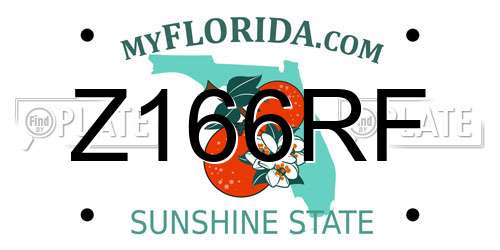 Z166RF Florida License Plate