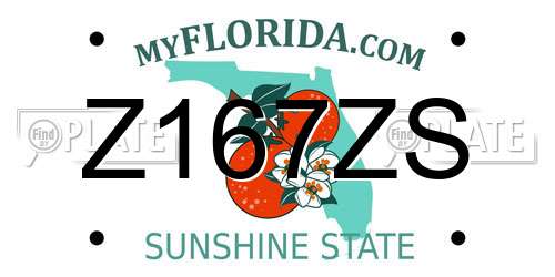 Z167ZS Florida License Plate