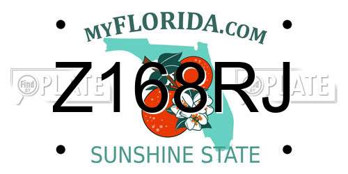 Z168RJ Florida License Plate