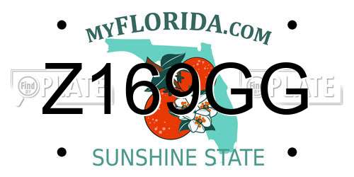 Z169GG Florida License Plate