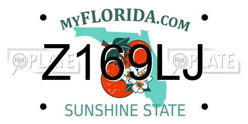 Z169LJ Florida License Plate