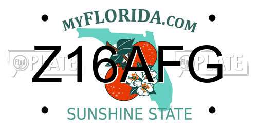 Z16AFG Florida License Plate