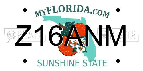 Z16ANM Florida License Plate