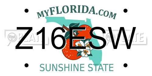 Z16ESW Florida License Plate