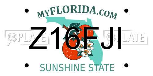 Z16FJI Florida License Plate