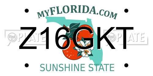 Z16GKT Florida License Plate