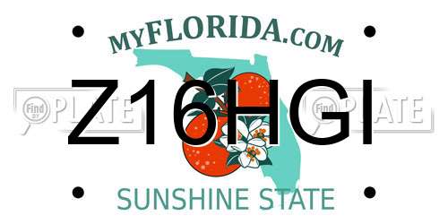 Z16HGI Florida License Plate