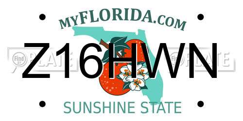 Z16HWN Florida License Plate