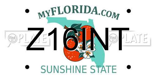 Z16INT Florida License Plate