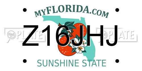 Z16JHJ Florida License Plate