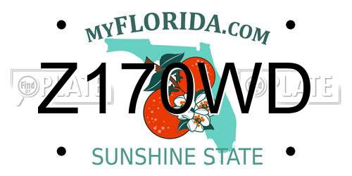 Z170WD Florida License Plate
