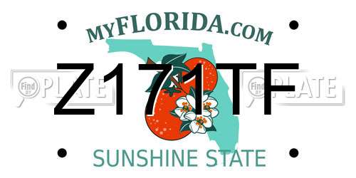 Z171TF Florida License Plate