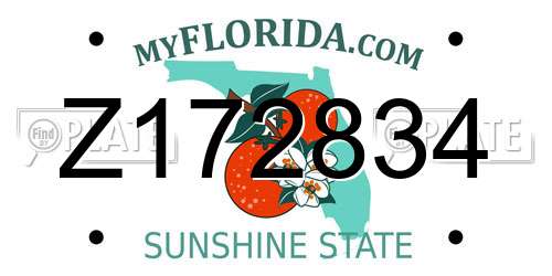 Z172834 Florida License Plate