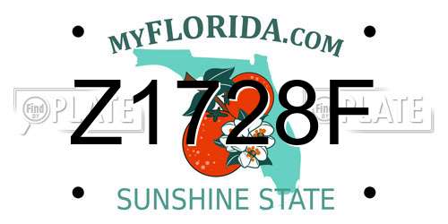 Z1728F Florida License Plate