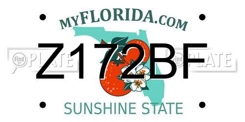 Z172BF Florida License Plate
