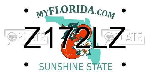 Z172LZ Florida License Plate