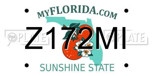 Z172MI Florida License Plate