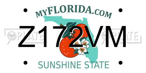 Z172VM Florida License Plate
