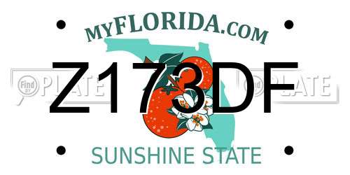 Z173DF Florida License Plate