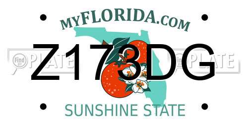 Z173DG Florida License Plate
