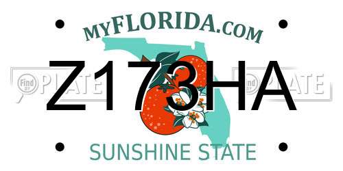 Z173HA Florida License Plate