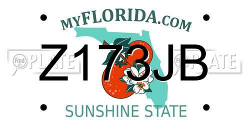 Z173JB Florida License Plate