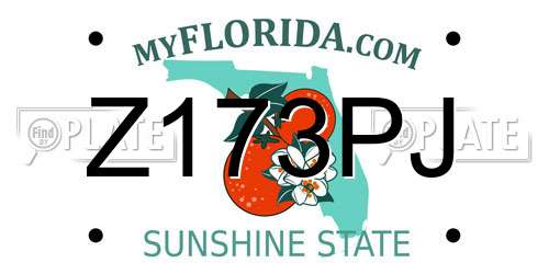 Z173PJ Florida License Plate