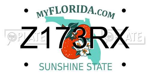 Z173RX Florida License Plate