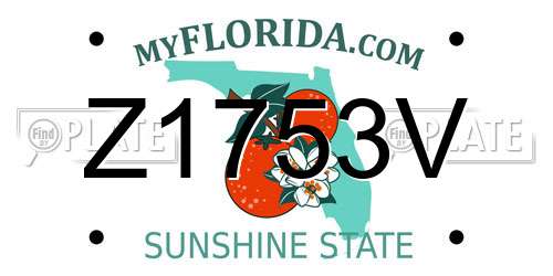 Z1753V Florida License Plate