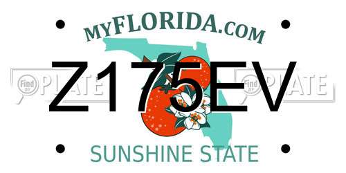 Z175EV Florida License Plate