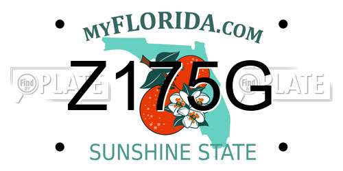 Z175G Florida License Plate