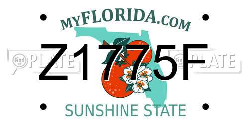 Z1775F Florida License Plate