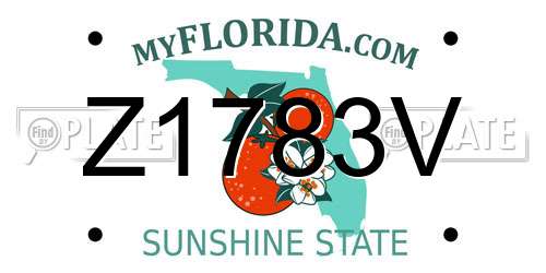 Z1783V Florida License Plate
