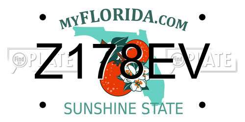 Z178EV Florida License Plate