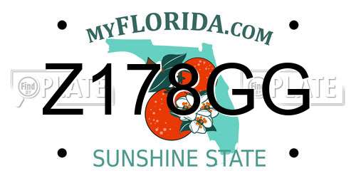 Z178GG Florida License Plate