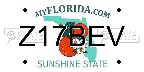 Z17BEV Florida License Plate