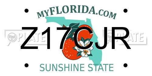 Z17CJR Florida License Plate