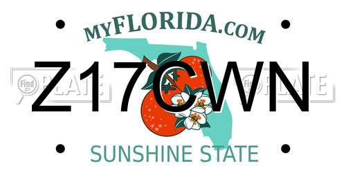 Z17CWN Florida License Plate