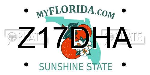 Z17DHA Florida License Plate